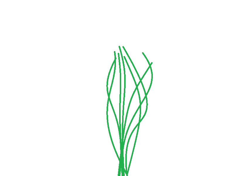 Wiggleplant